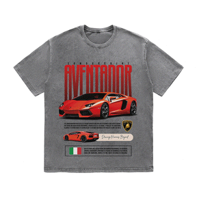 RDMCLOTHINGART tapestry hoodie AVENTADOR HEAVY WEIGHT COTTON TEE-8831