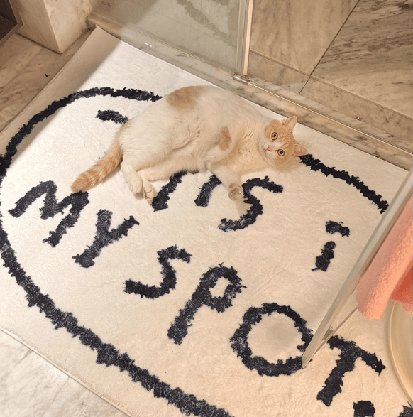 RDMCLOTHINGART 45*70cm tapestry hoodie Blanket-1018