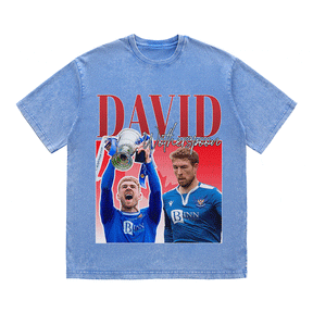 RDMCLOTHINGART tapestry hoodie DAVID HEAVY WEIGHT COTTON TEE-8954