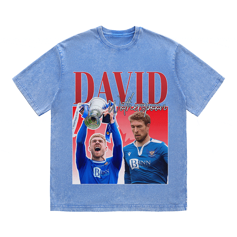 RDMCLOTHINGART tapestry hoodie DAVID HEAVY WEIGHT COTTON TEE-8954