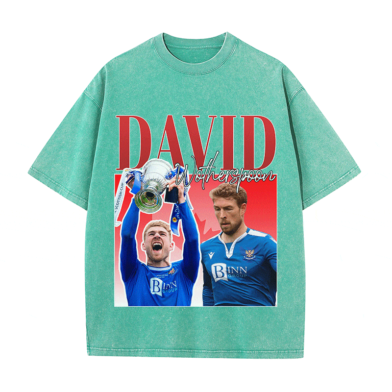 RDMCLOTHINGART tapestry hoodie DAVID HEAVY WEIGHT COTTON TEE-8954