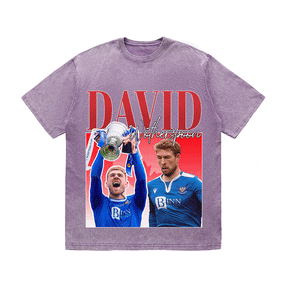 RDMCLOTHINGART tapestry hoodie DAVID HEAVY WEIGHT COTTON TEE-8954