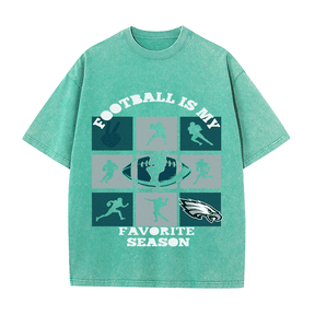 RDMCLOTHINGART tapestry hoodie EAGLES HEAVY WEIGHT COTTON TEE-8773