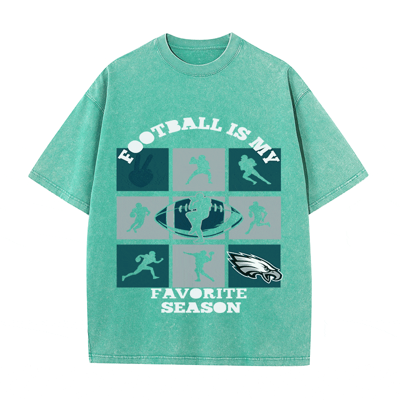 RDMCLOTHINGART tapestry hoodie EAGLES HEAVY WEIGHT COTTON TEE-8773