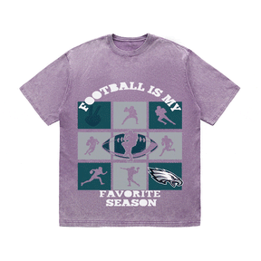 RDMCLOTHINGART tapestry hoodie EAGLES HEAVY WEIGHT COTTON TEE-8773