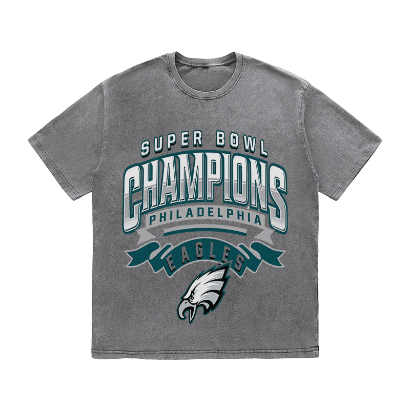 RDMCLOTHINGART tapestry hoodie EAGLES HEAVY WEIGHT COTTON TEE-8776