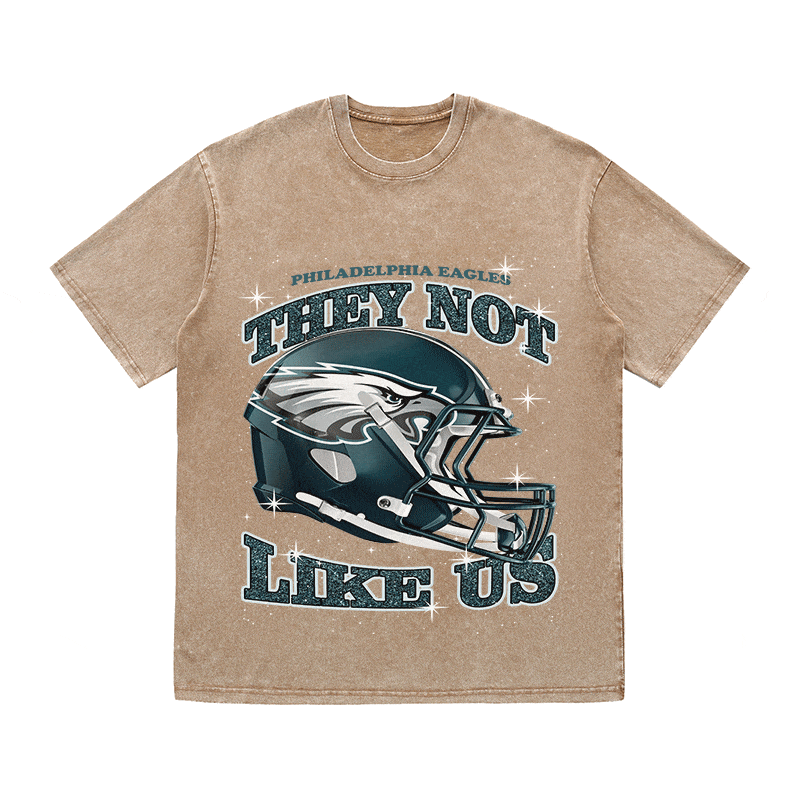 RDMCLOTHINGART tapestry hoodie EAGLES HEAVY WEIGHT COTTON TEE-8796