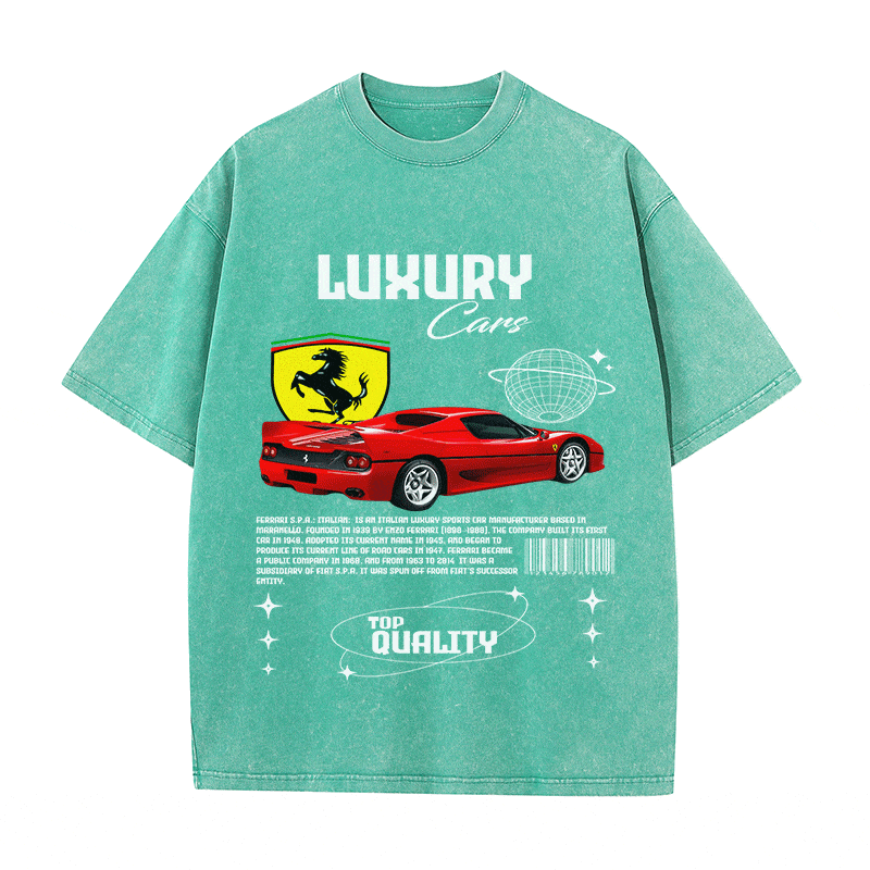 RDMCLOTHINGART tapestry hoodie FERRARI HEAVY WEIGHT COTTON TEE-9094