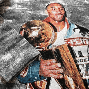 GREY CHAMPIONSHIP TAPESTRY - RDMCLOTHINGART