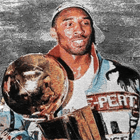 GREY CHAMPIONSHIP TAPESTRY - RDMCLOTHINGART