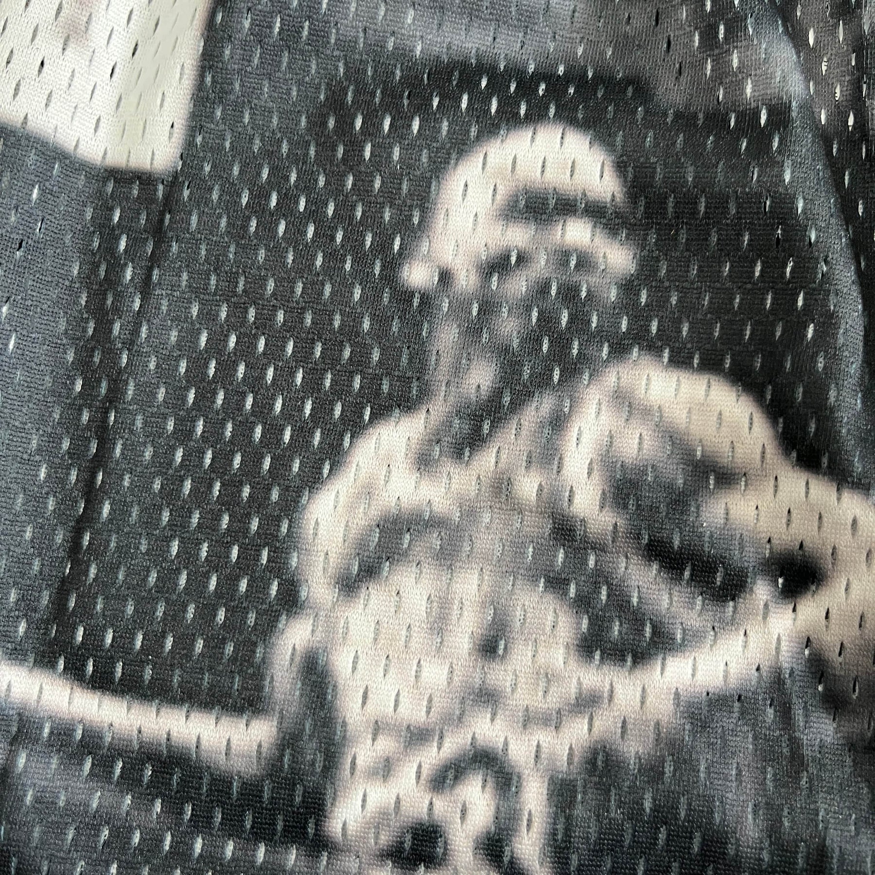 RDMCLOTHINGART tapestry hoodie MJ FLY MESH SHORTS-8601