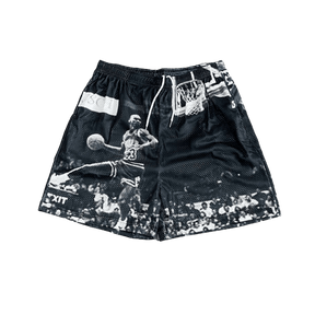 RDMCLOTHINGART tapestry hoodie MJ FLY MESH SHORTS-8601