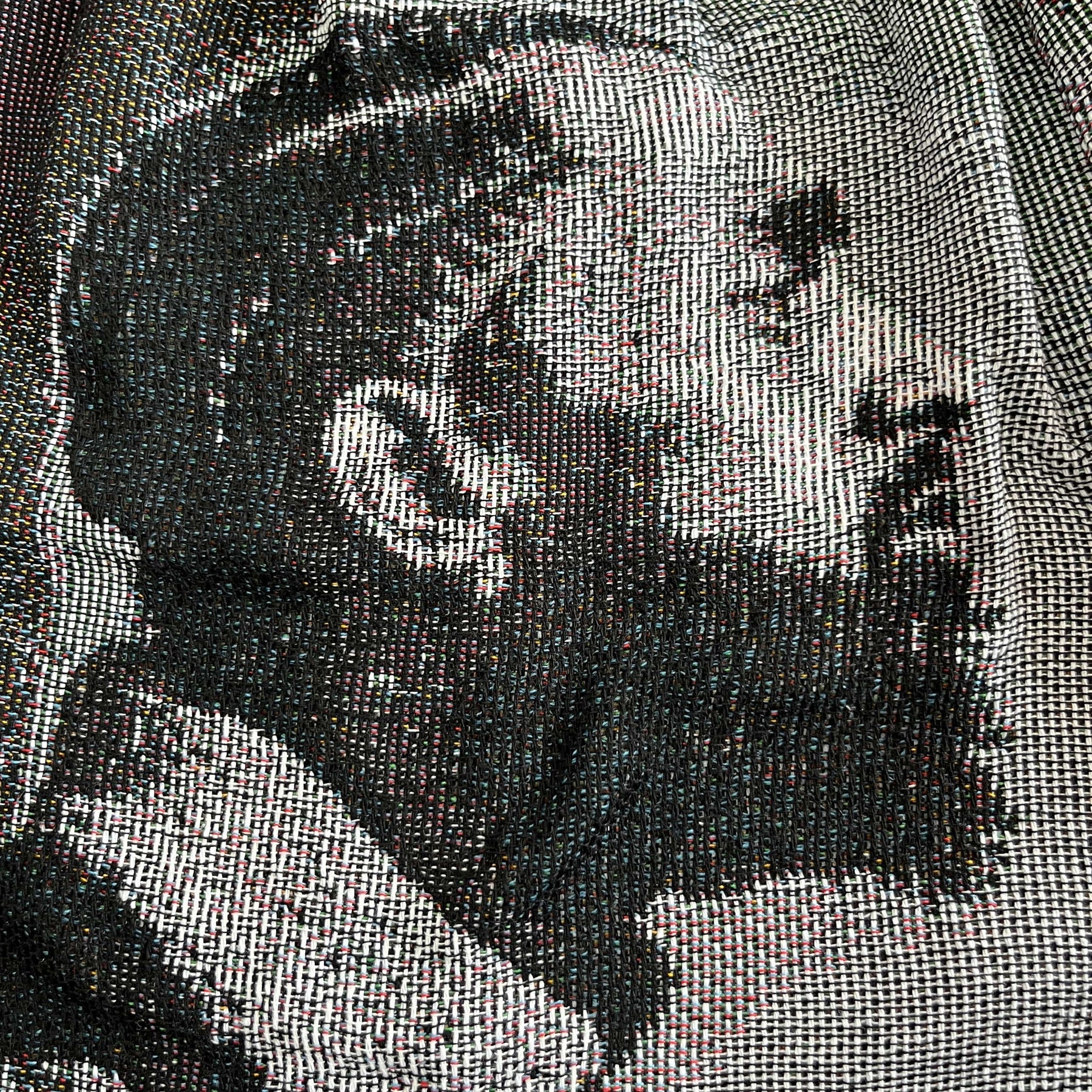 RDMCLOTHINGART tapestry hoodie NIP TAPESTRY SHORTS